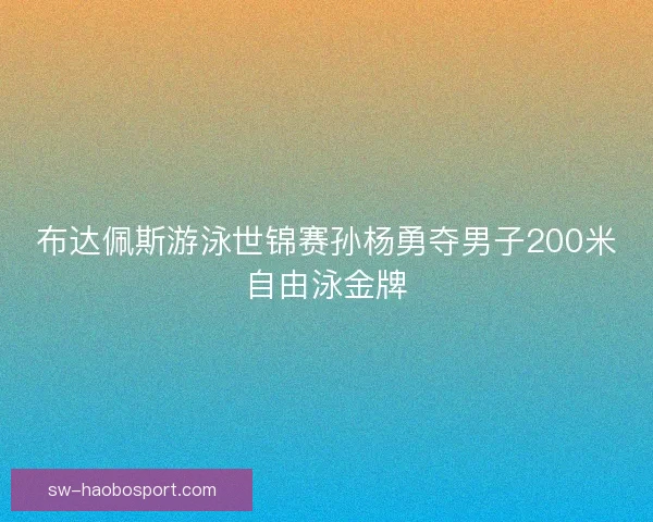 布达佩斯游泳世锦赛孙杨勇夺男子200米自由泳金牌